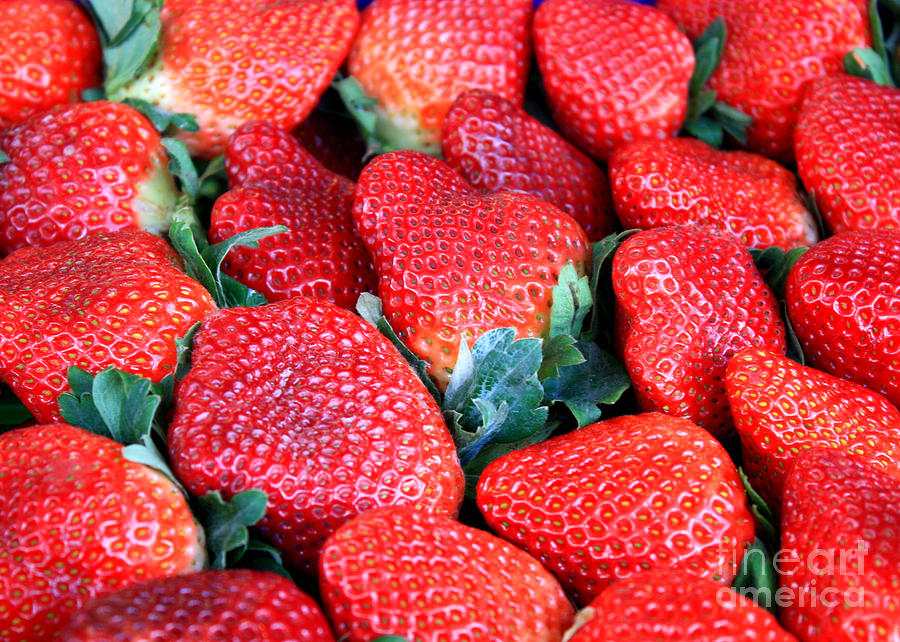 Strawberry Photograph - Plant City Strawberries by Carol Groenen