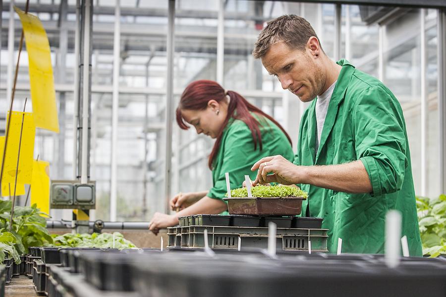 Plant research Photograph by Science Photo Library - Fine Art America