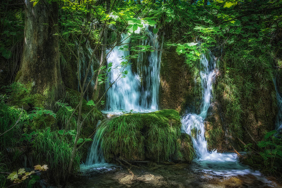 Plitvice Lakes Photograph