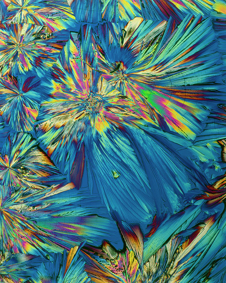 Plm Of Crystals Of The Hormone Adrenaline Photograph by Alfred Pasieka/science Photo Library - Fine Art America