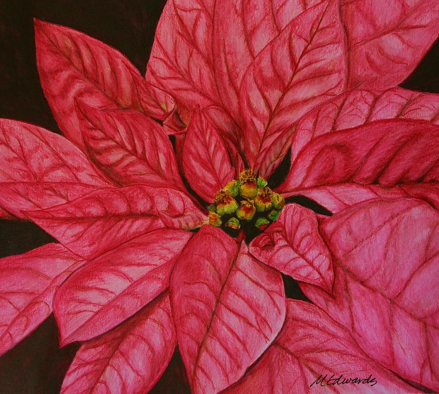 Poinsettia Drawing by Marna Edwards Flavell