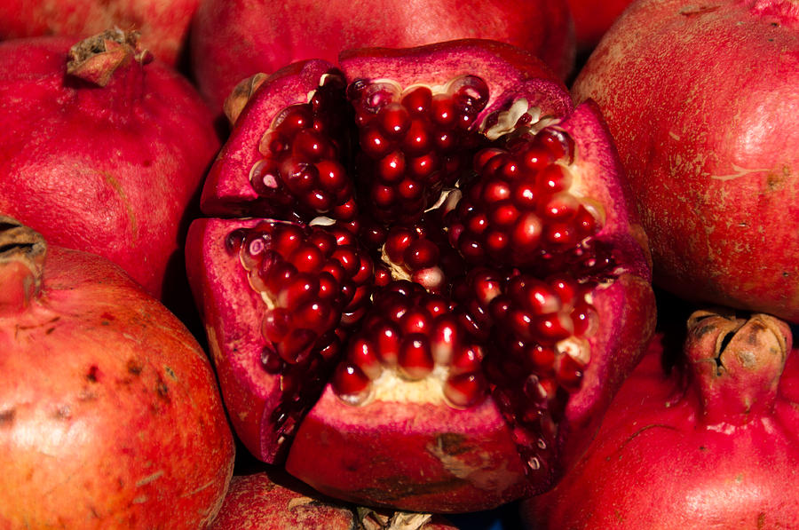 Abstract Photograph - Pomegranate fruits #2 by Frank Gaertner