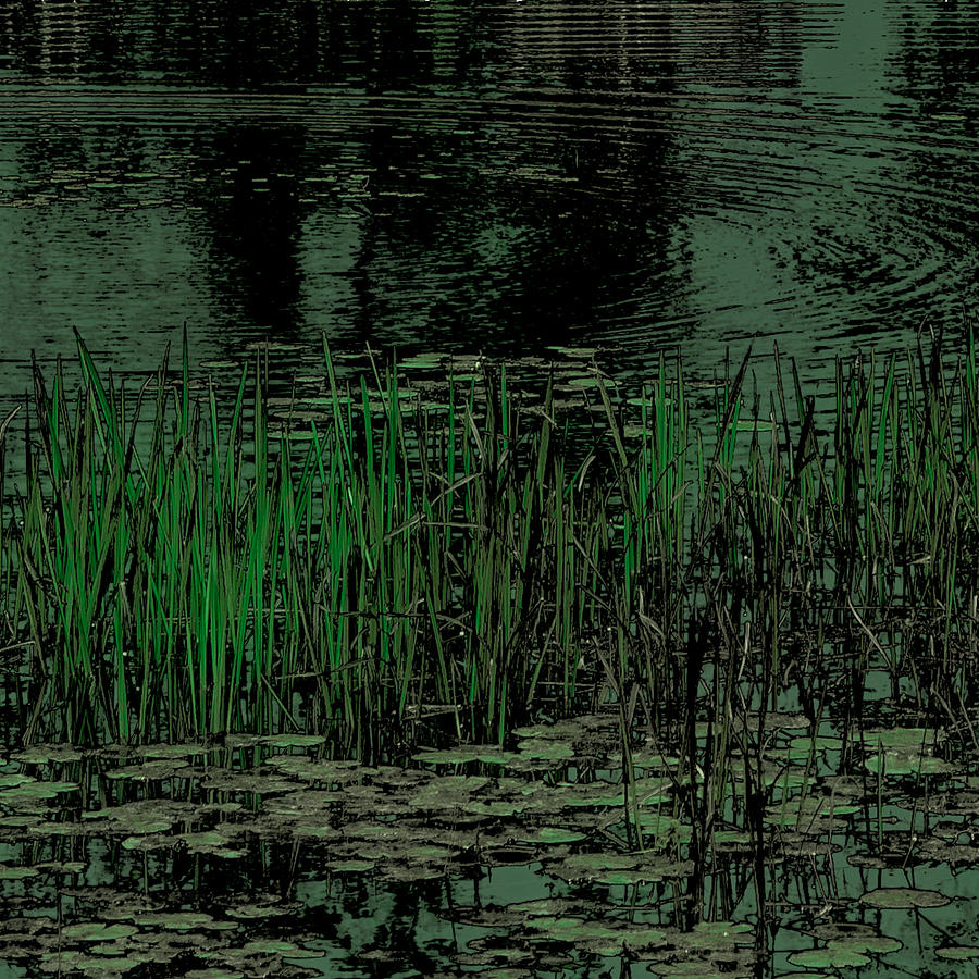 Pond Grasses #2 Photograph by David Patterson
