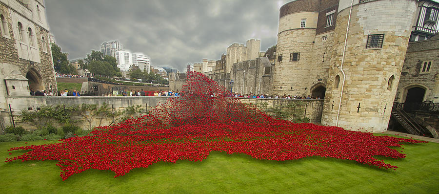 Poppies Tower of London collage #2 Photograph by David French