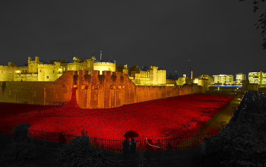 Tower Of London Photograph - Poppies Tower of London night   #2 by David French