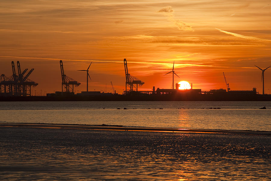 Port of Zeebrugge Photograph by Vanessa D -