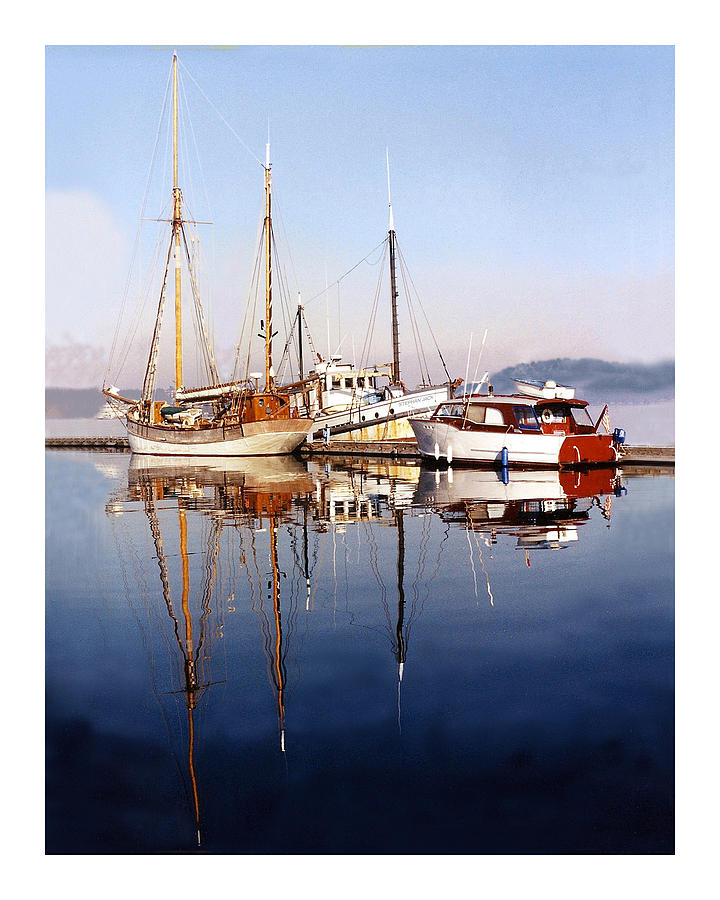 Marine Life Photograph -  Port Orchard Marina Reflections by Jack Pumphrey