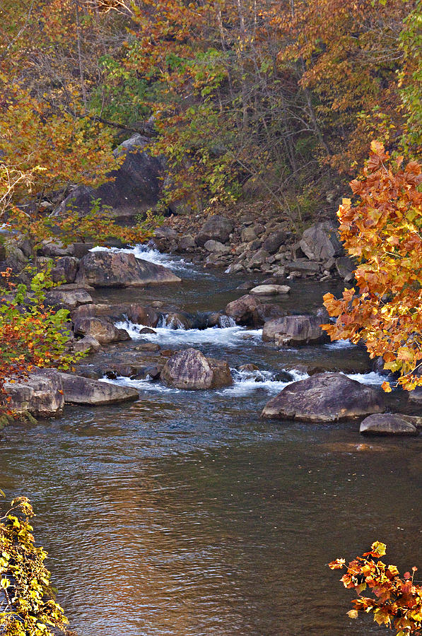 Possum Creek Photograph By Barry Cole - Fine Art America