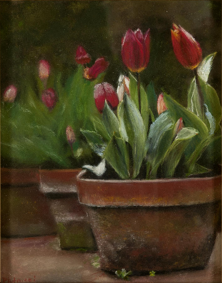 Potted Tulips #2 Pastel by Cindy Plutnicki