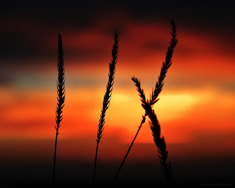 Prairie Sunset Photograph by David Broome