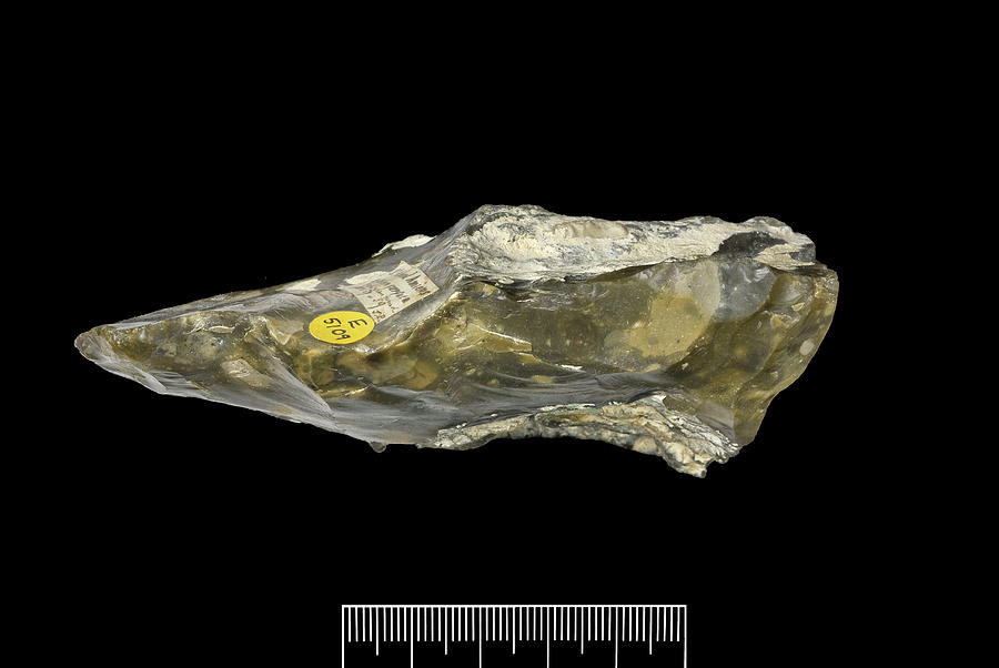 Prehistoric Flint Hand-axe #2 Photograph by Natural History Museum, London/science Photo Library