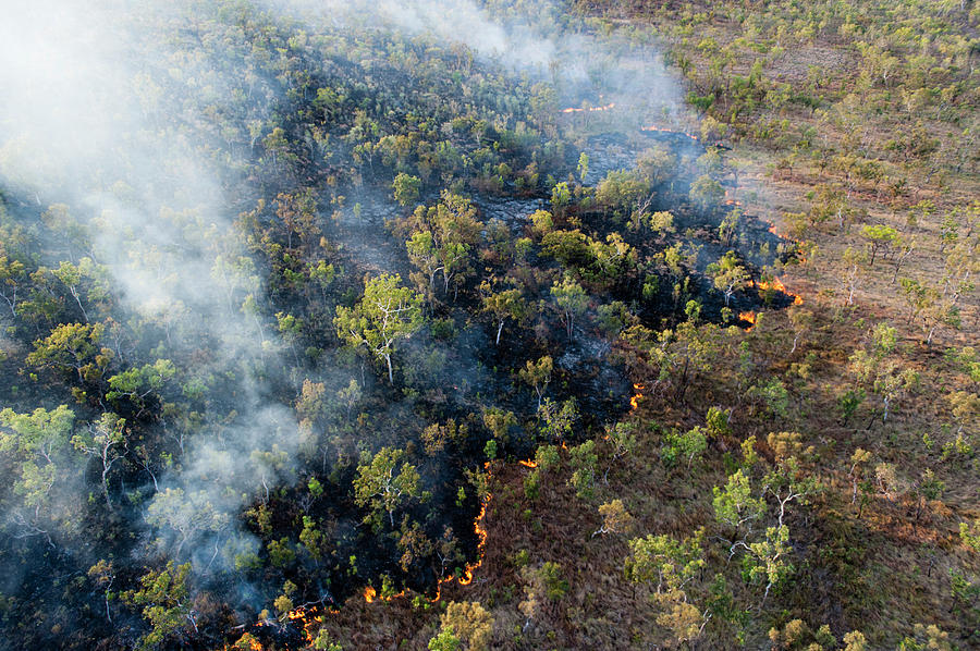 Aerial Photograph - Prescribed Burn, Fish River Protected #2 by Ted Wood