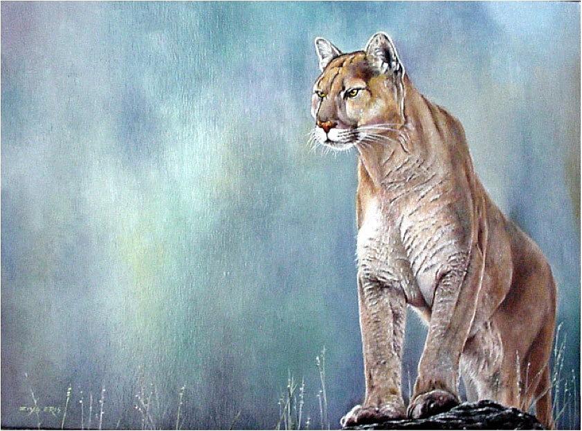 Puma by Ziya Eris - Pixels