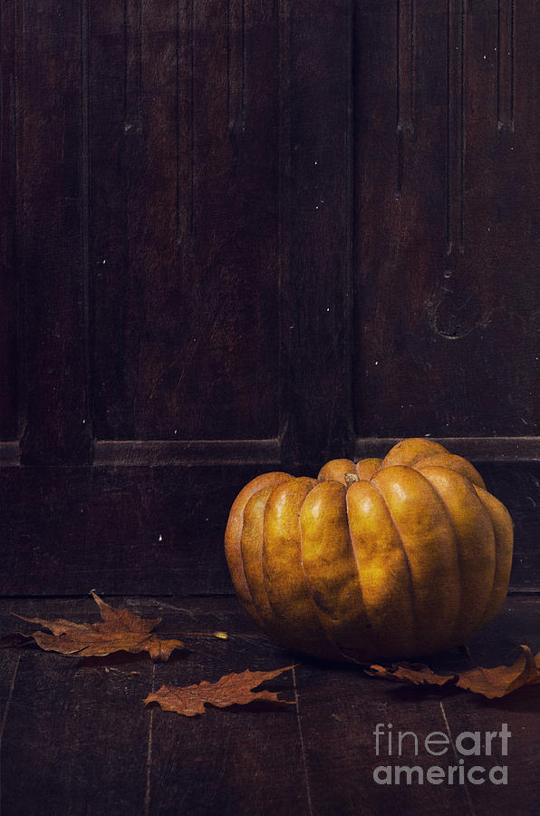 Pumpkin on dark background Photograph by Jelena Jovanovic