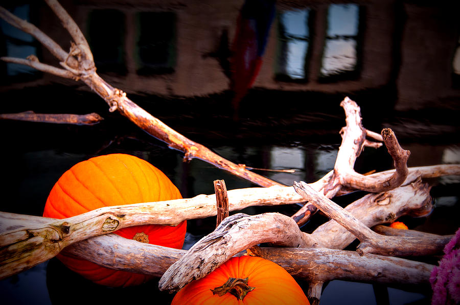 Pumpkins #2 Photograph by Bill Howard