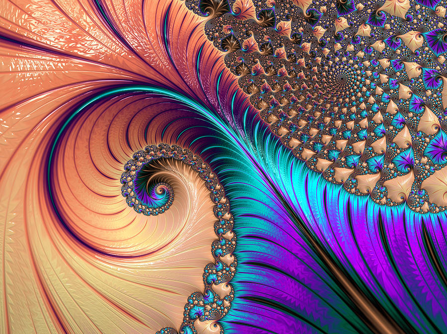 Yin Yang Fractal Photograph by Constance Sanders