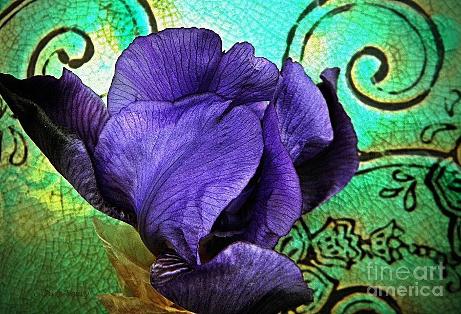 Purple Perfume  #1 Photograph by Chris Berry