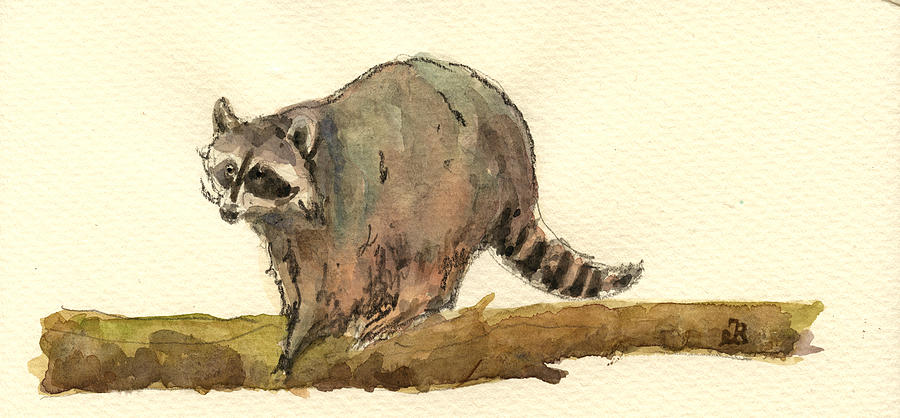 Wildlife Painting - Raccoon #2 by Juan  Bosco