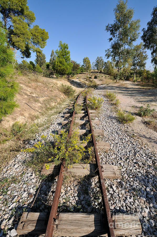 Railway lines #2 Photograph by George Atsametakis