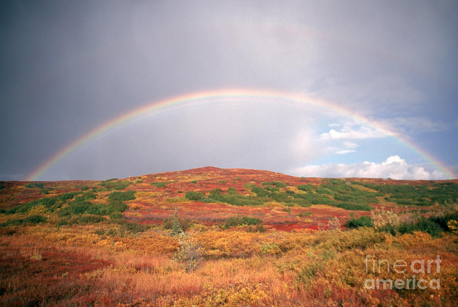 Rainbow #4 Photograph by Mark Newman