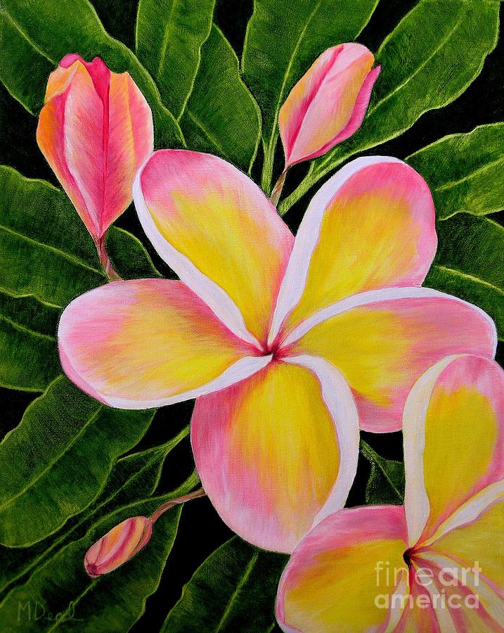 Flower Painting - Rainbow Plumeria by Mary Deal
