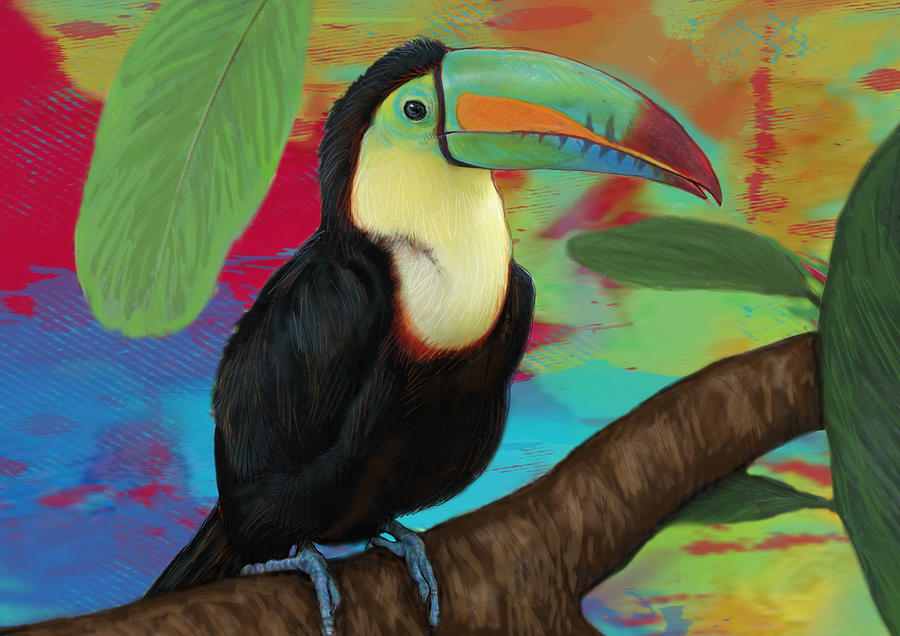 Rainforest Bird - Keel Billed Toucan Stylised Pop Art Drawing Potrait