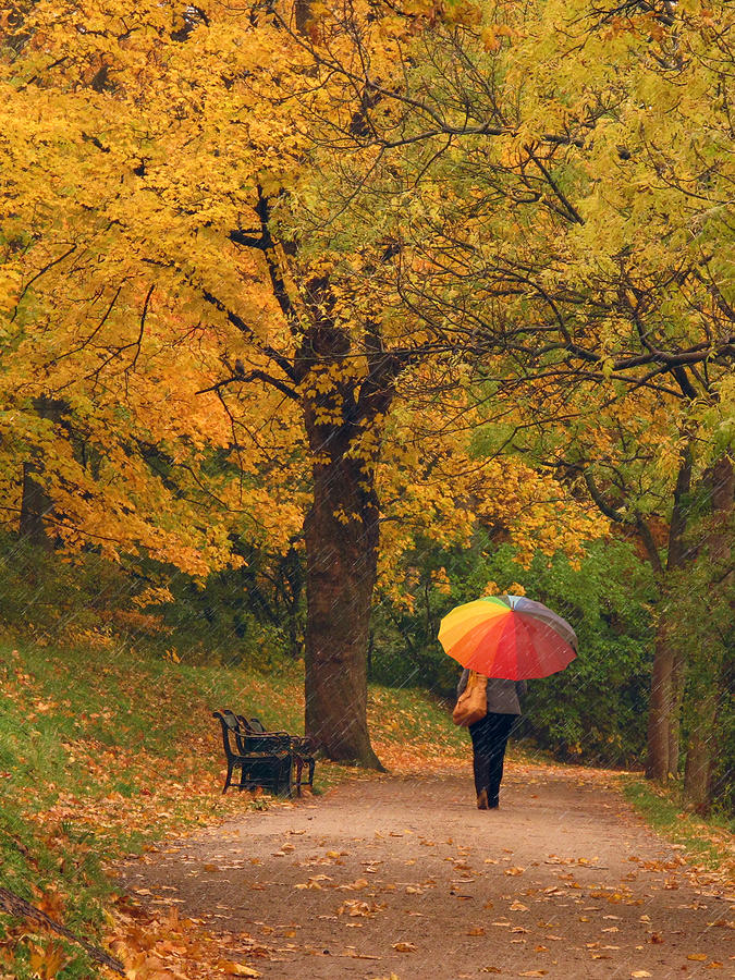 Fall Photograph - Rainy day #2 by Inge Riis McDonald