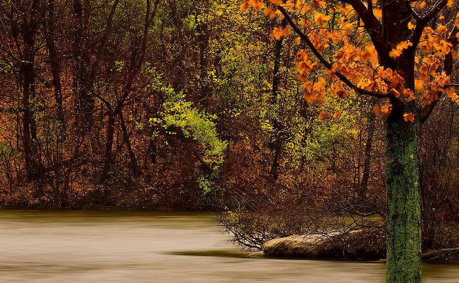 Fall Photograph - Rainy Morning #2 by Onyonet Photo studios