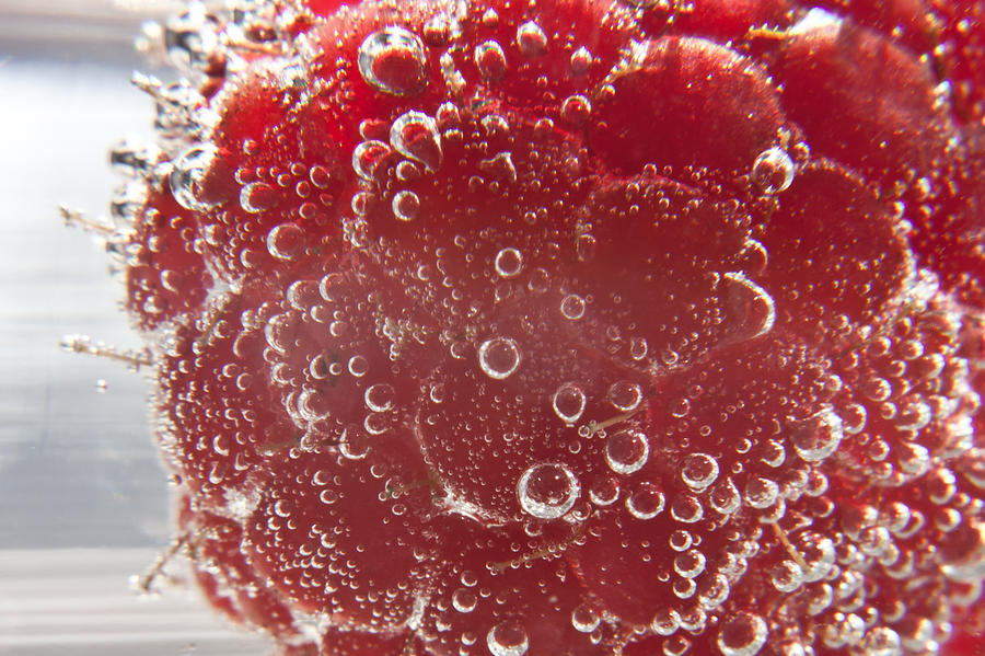 Raspberry Macro #2 Photograph by Anthony Doudt