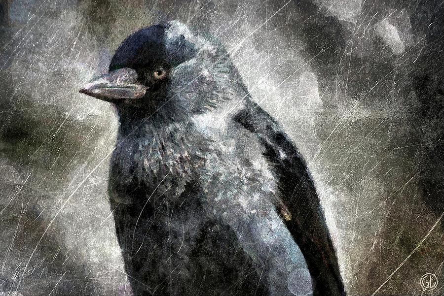 Raven Digital Art - Raven #2 by Gun Legler