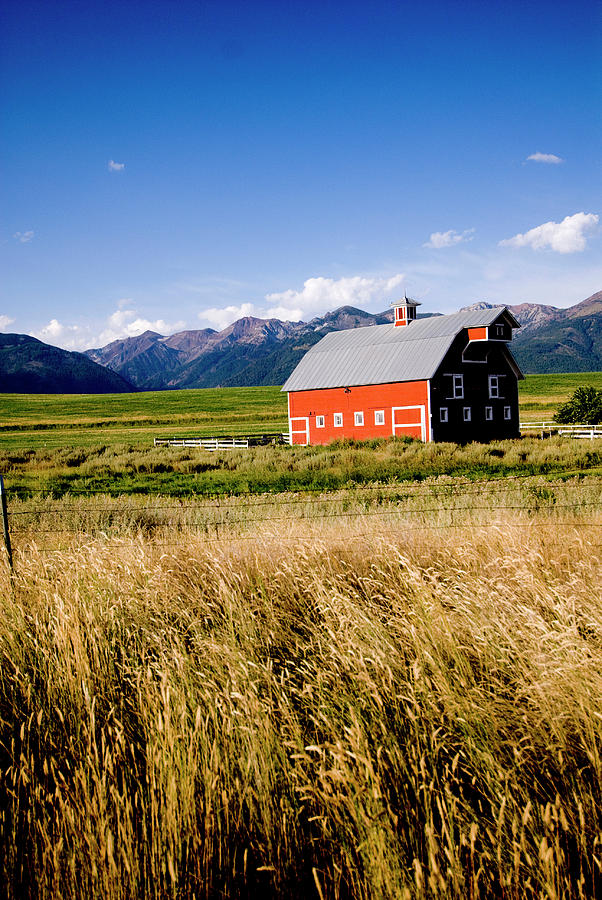 Red Barn In Field Near Joseph, Wallowa Photograph by Nik Wheeler - Pixels