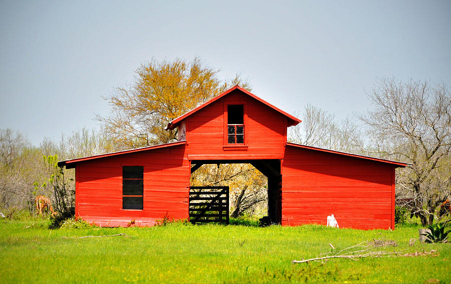 Red Barn #2 Photograph by Savannah Gibbs