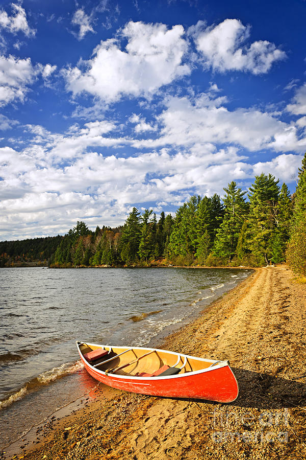 Fall Photograph - Red canoe on lake shore 1 by Elena Elisseeva