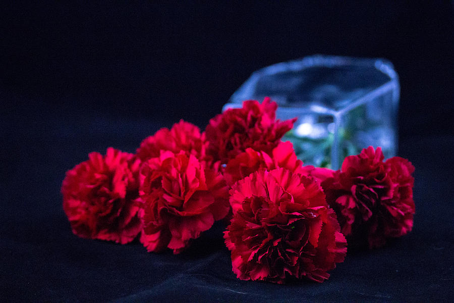 Red Carnations #2 Photograph by Susan Jensen