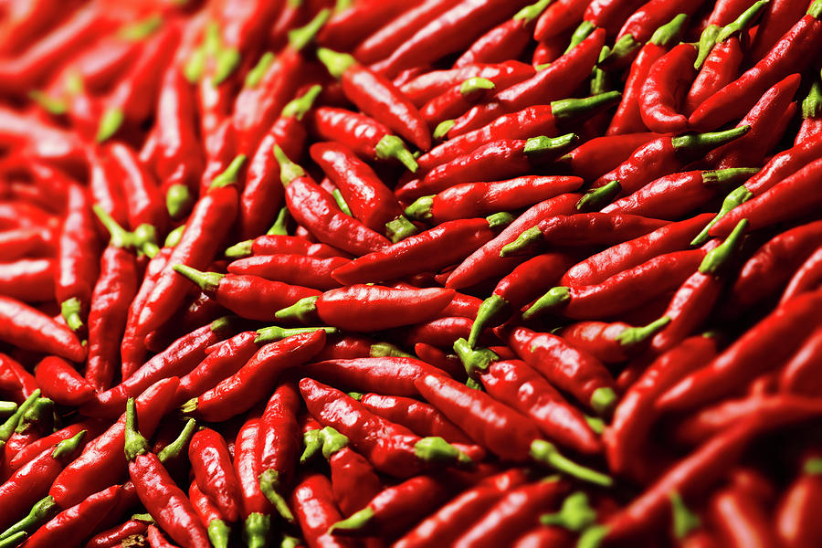 Red Chilli Peppers #2 Photograph by Ktsdesign/science Photo Library