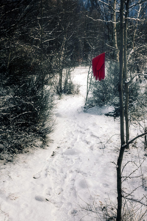 Tree Photograph - Red Glove #2 by Joana Kruse