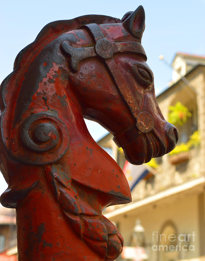 Red Horse Head Post #2 Photograph by Alys Caviness-Gober
