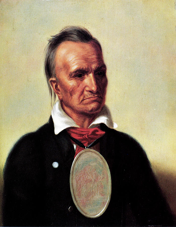 Red Jacket (1756?1830) Painting by Granger Fine Art America