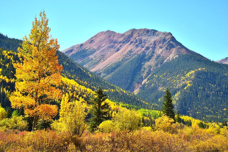 Red Mountain Pass Fall #5 Photograph by Ray Mathis