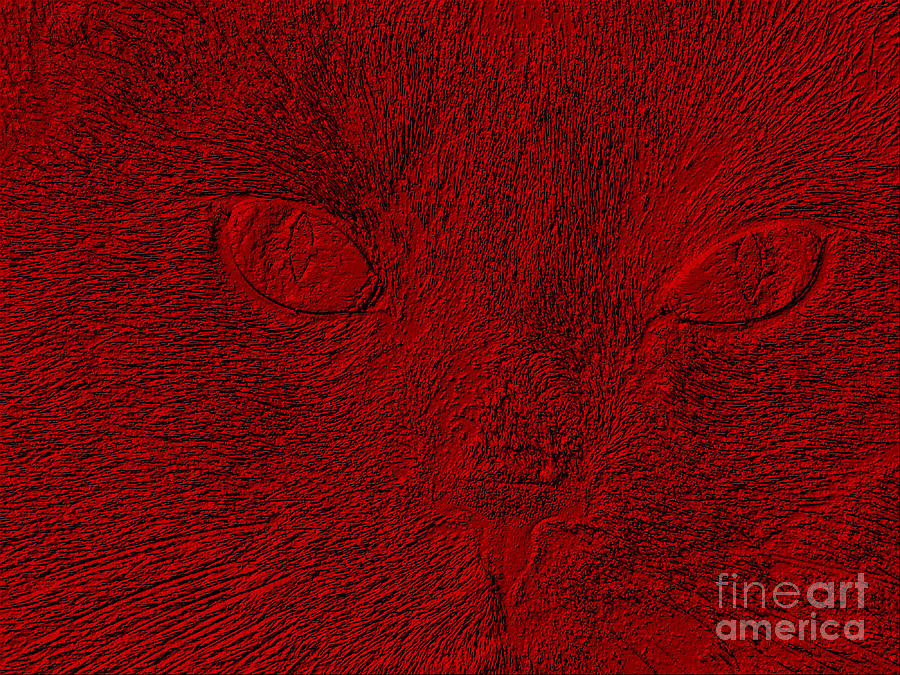 Cats Face in Red. Art Digital Art by Oksana Semenchenko