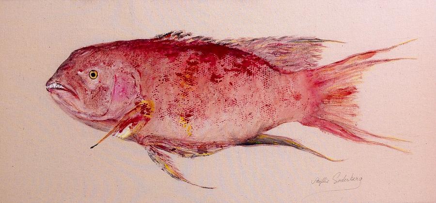 Fish Rubbing Painting - Red Snapper with Teeth #2 by Phyllis Soderberg