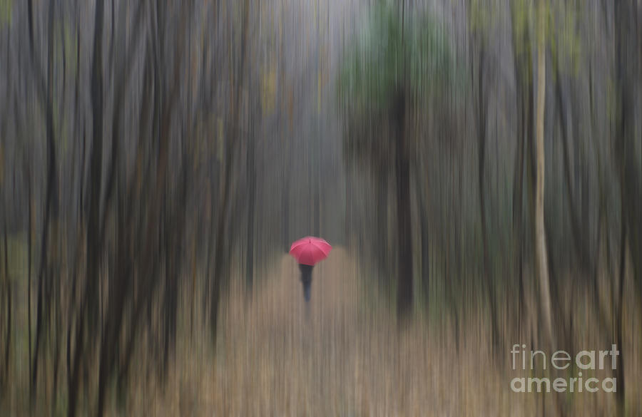 Red umbrella in the forest #2 Photograph by Mats Silvan