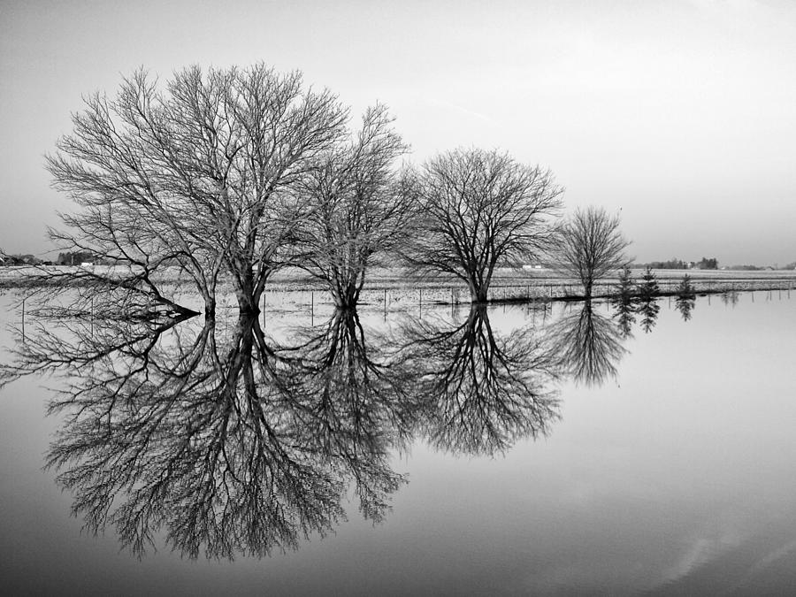 Stillness Photograph - Reflection by Tom Druin