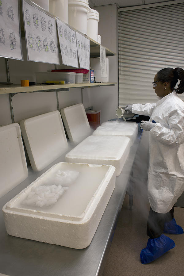 Researcher With Brain Bank Containers #2 Photograph by Science Stock Photography
