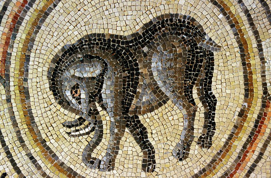 Restored Mosaic #2 Photograph by Patrick Landmann/science Photo Library