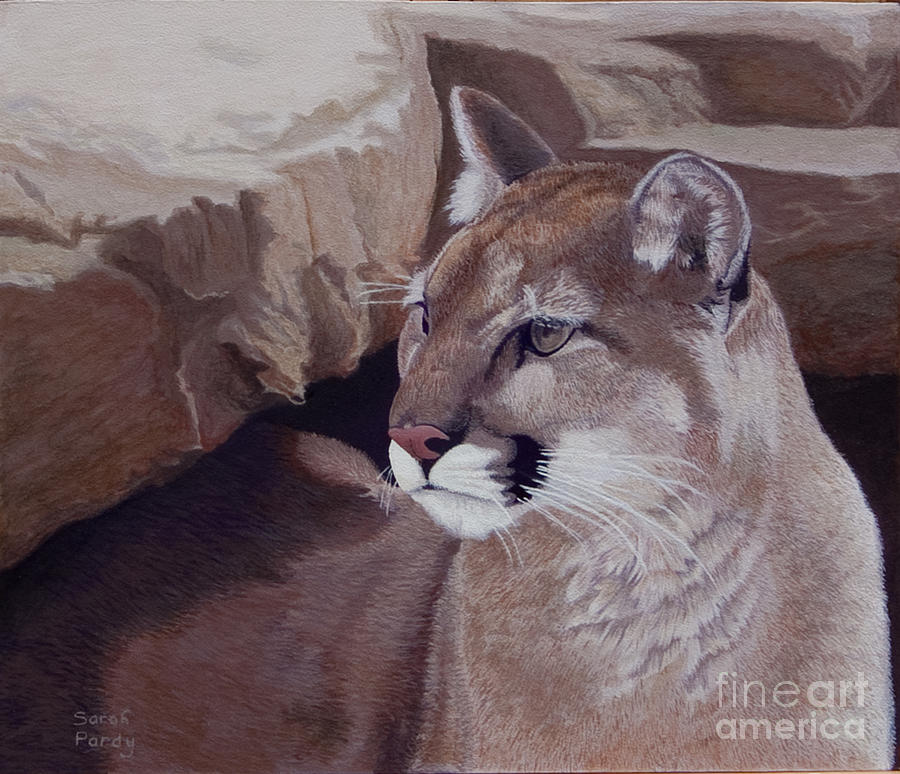 Return of the Cougar #2 Painting by Margaret Sarah Pardy