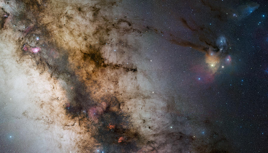 Rho Ophiuchi #2 Photograph by Celestial Images