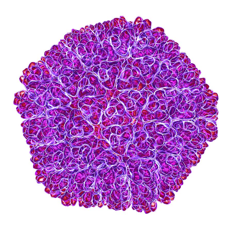 Illustration Photograph - Rice Dwarf Virus #2 by Mehau Kulyk