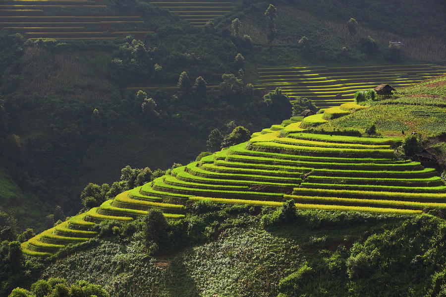 Rice Terraces In Mu Cang Chai, North #2 Photograph by 117 Imagery