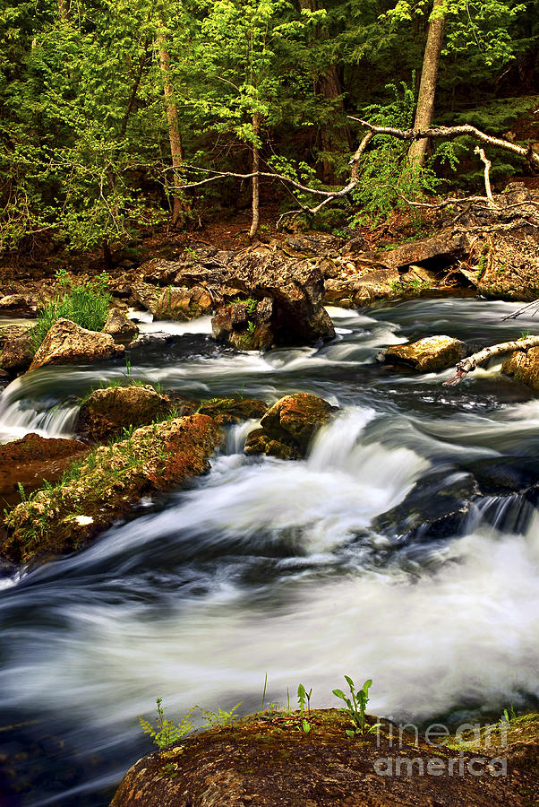 Nature Photograph - River rapids 2 by Elena Elisseeva